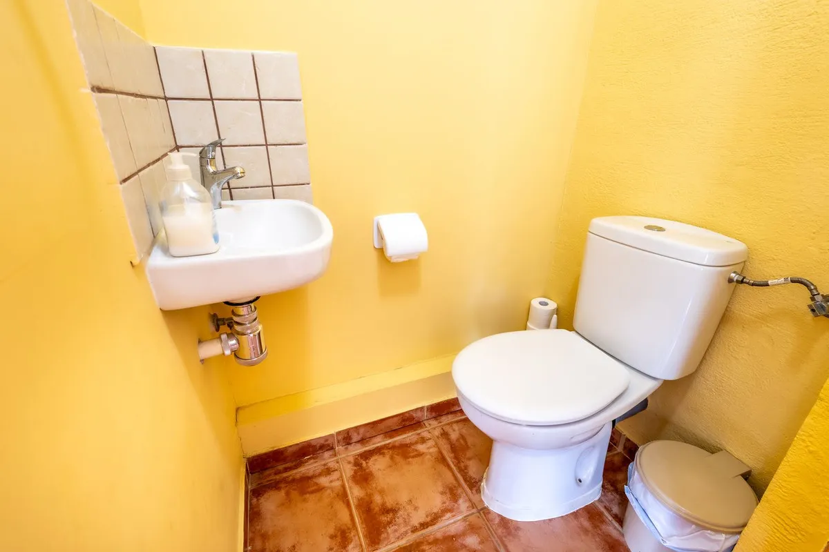 8d504ad2-6494-499b-a756-257a017d6598