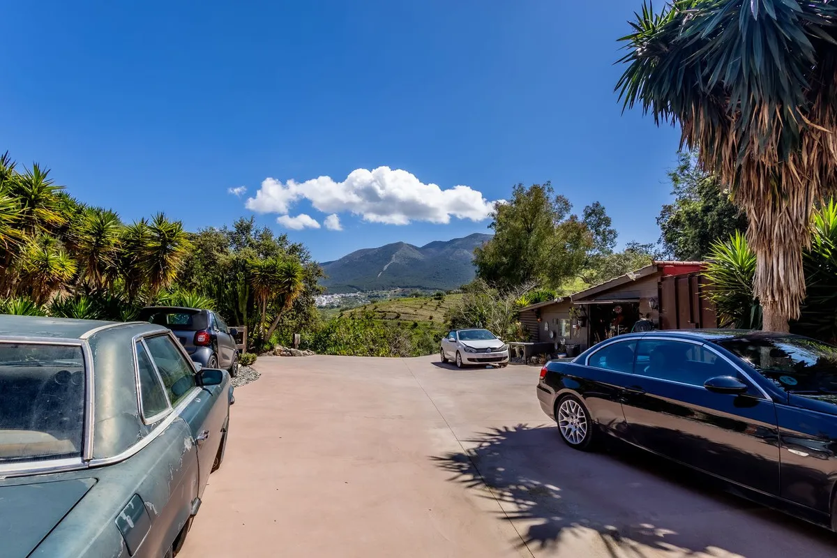 96ea8286-3b80-4d5c-95a7-f979508a7288