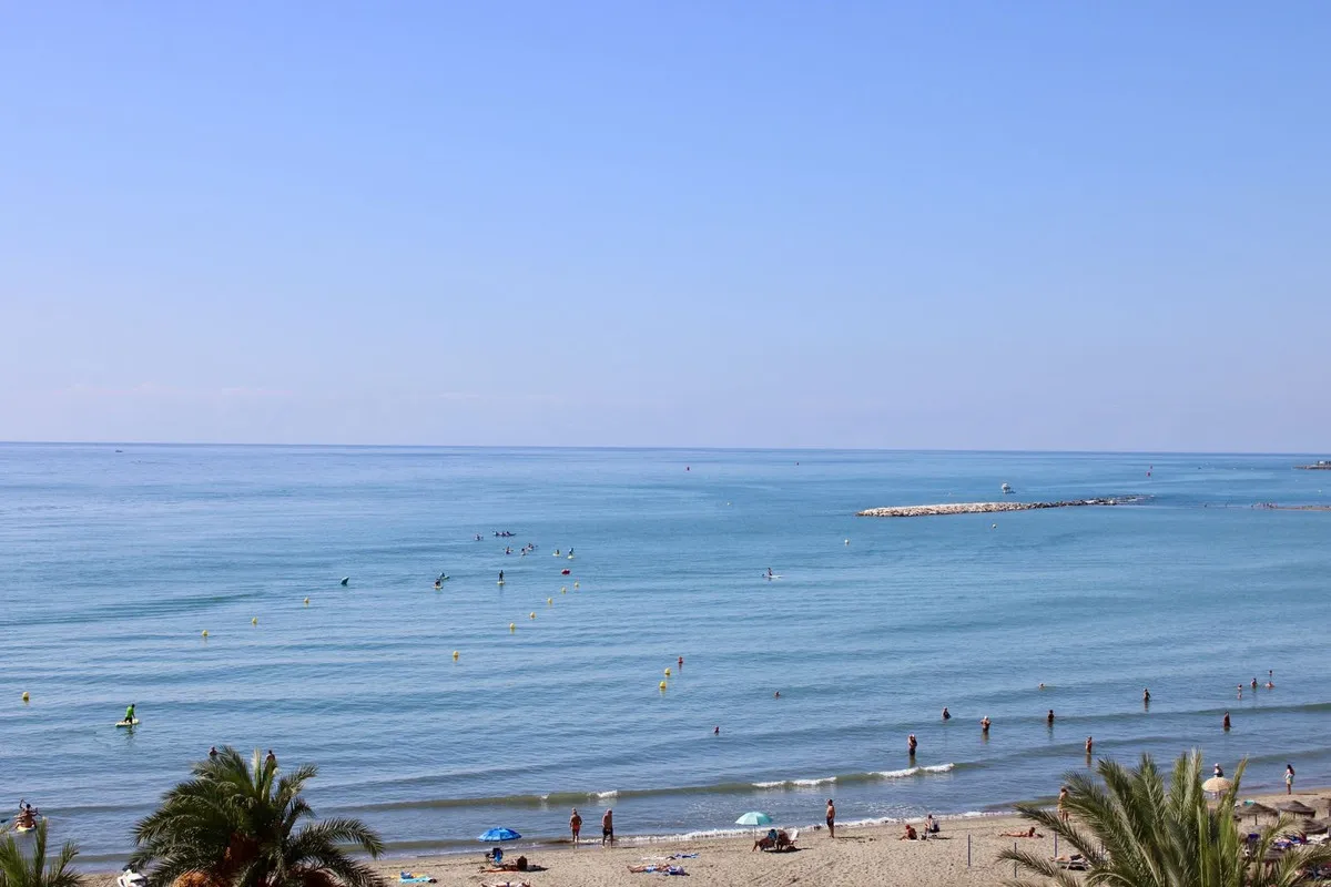 48547619-c0bc-470d-8ec0-23422ade6e44