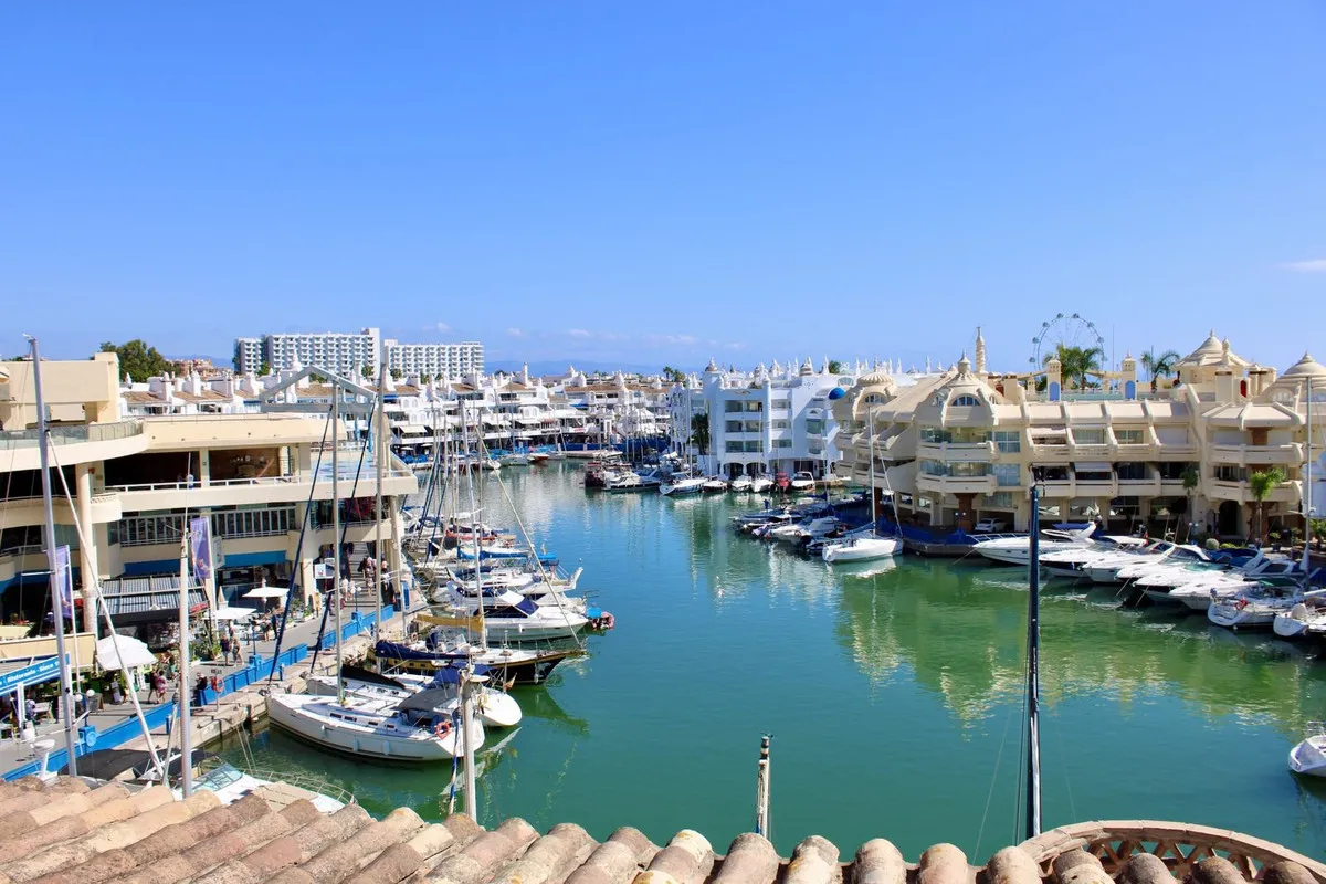 ba72a7ed-485c-4f84-aed6-96df582192fd