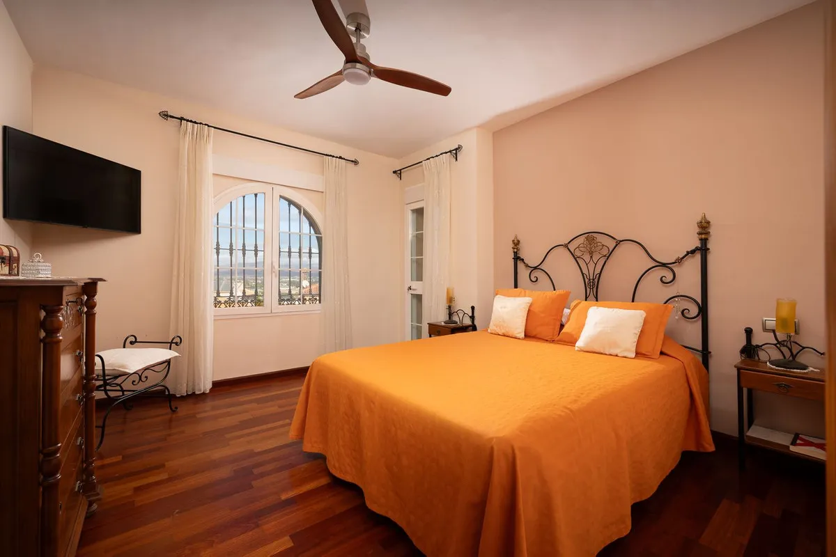 ced77808-946d-443b-9869-20bea93d2ec7