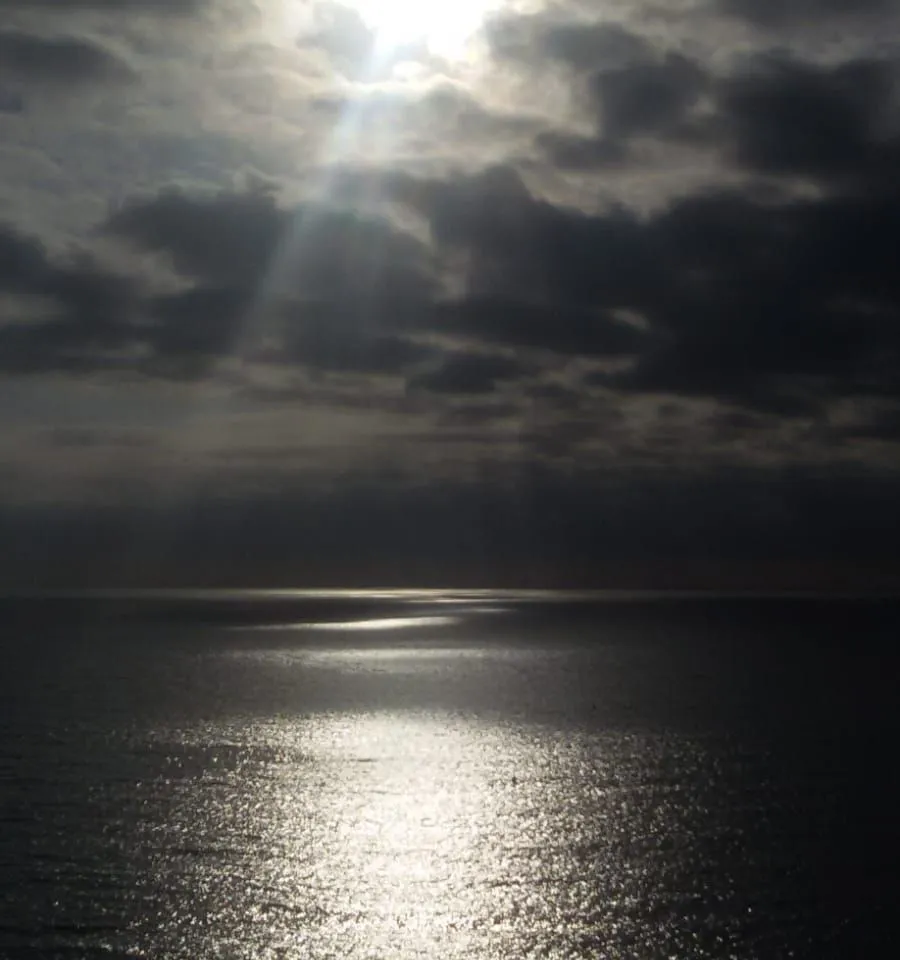 0370e8a6-caa0-4c05-b4a6-dd3c03fe1524