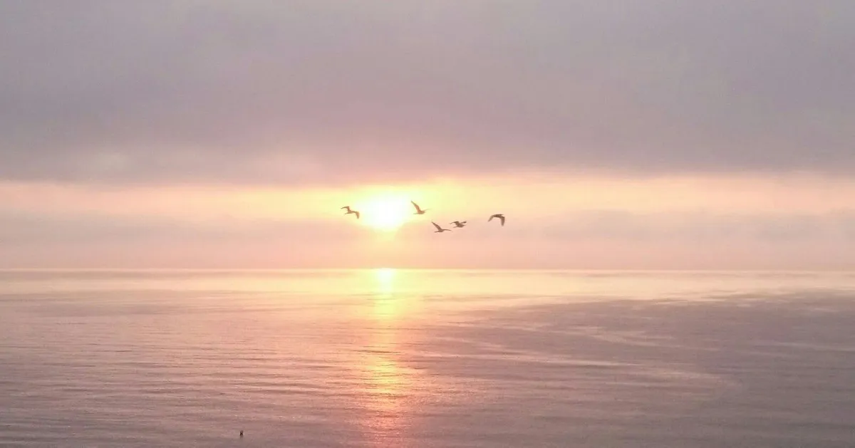 1e17f02d-b2d7-4903-8d19-f8352c65ff94