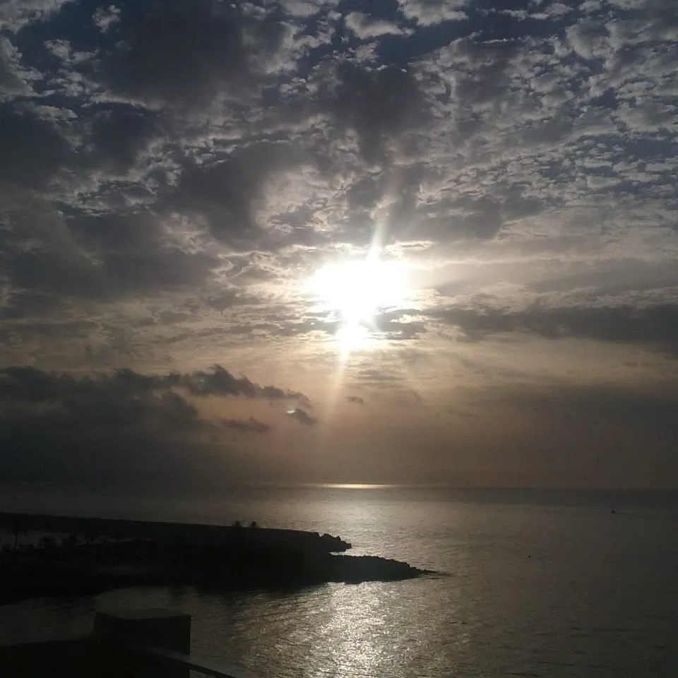 3d036df8-ec78-4953-a172-63d73ffd9f12