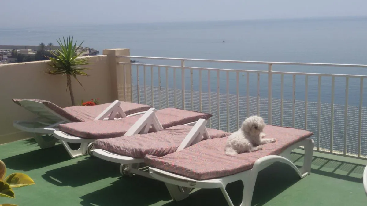 4135f3bf-76a3-4bc5-8d97-723f9f844d10