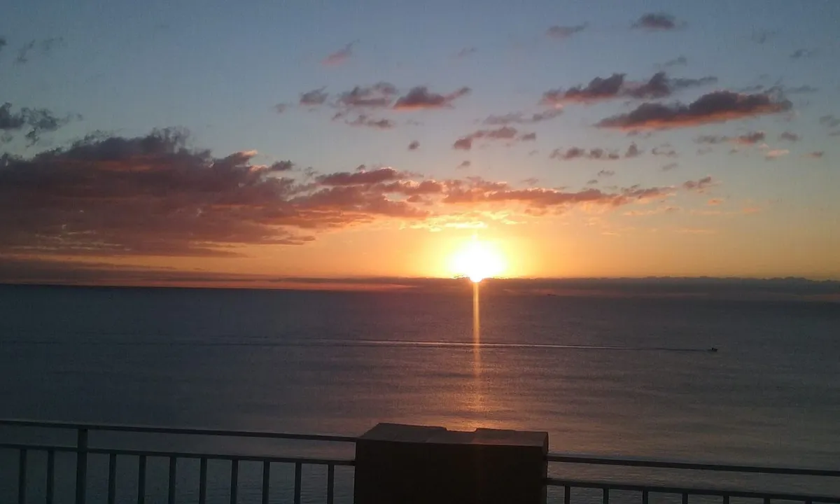 d5335828-5464-4050-806d-2ee938a41795