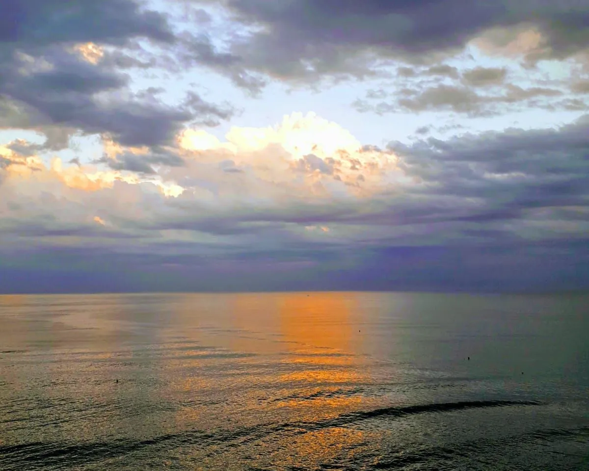 d77a9e98-9e6a-44a8-8e5d-6bb42937d708