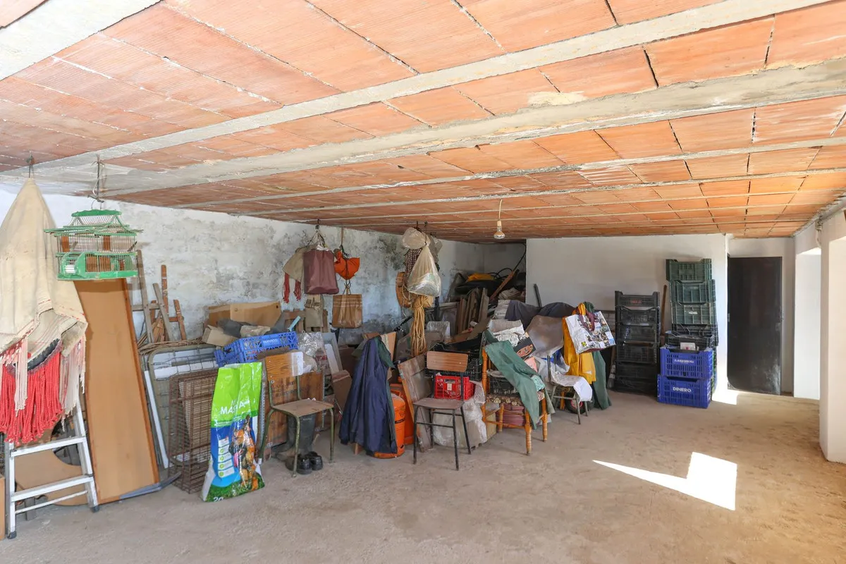 01fd74c0-8ecf-46b2-aba9-7487b61b043d