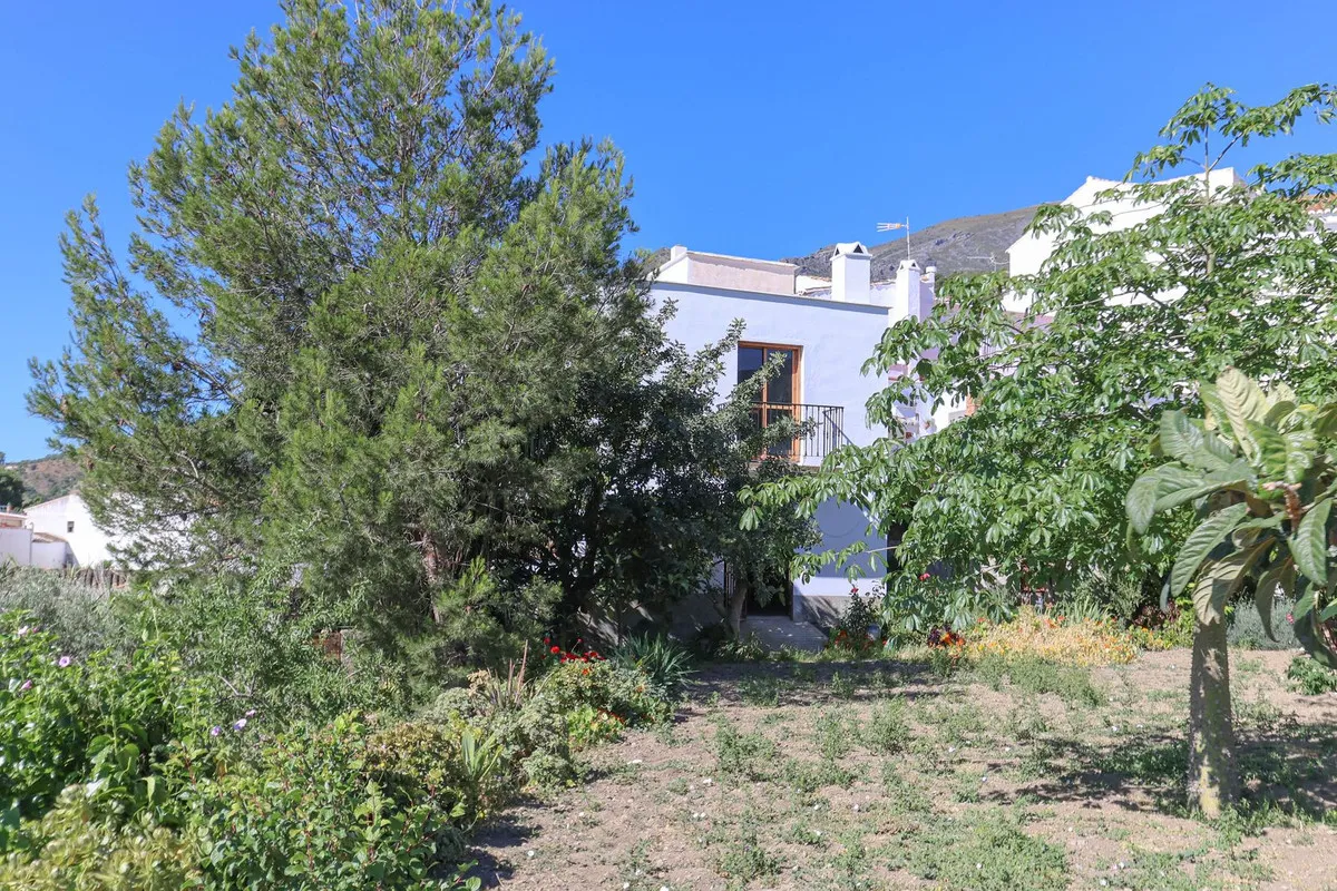 25f531d9-f392-4876-8132-481650b4a698