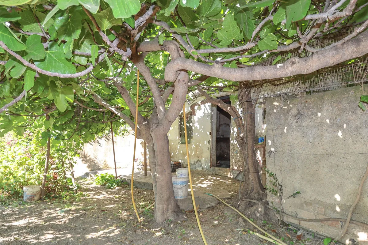 47336647-65b1-43b0-9c06-9305468eed41