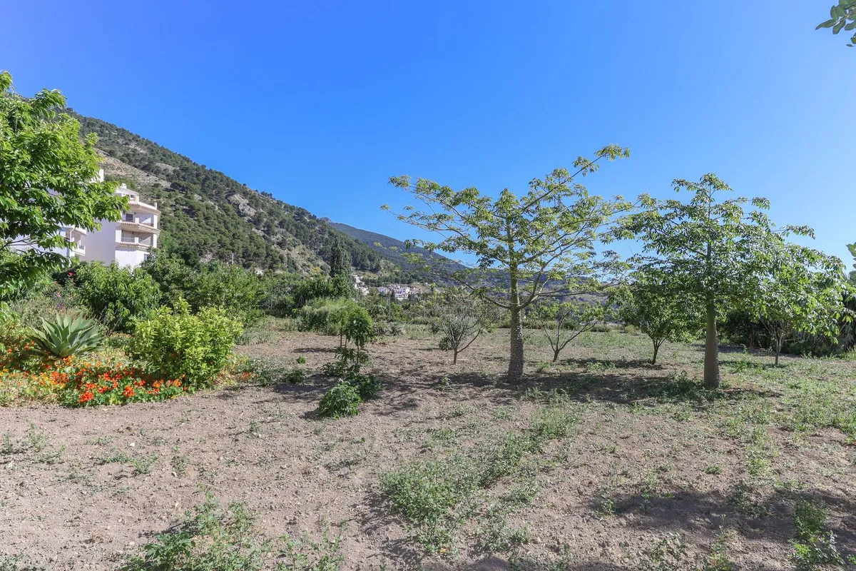 52c9946c-7bab-4891-adba-af0b56431a78