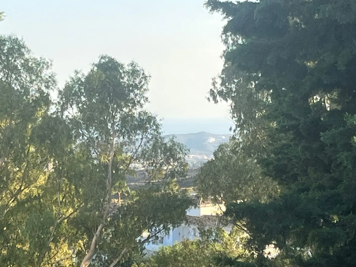 5f065875-d072-4821-b07d-20e7c8ea8005