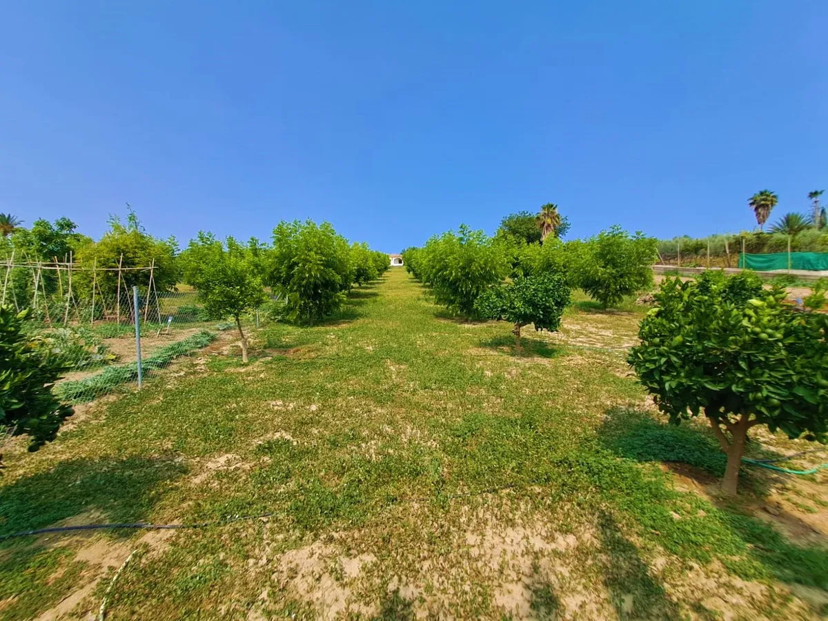 1e9d9578-7f81-4c4a-bf1d-c9ada93c7f76