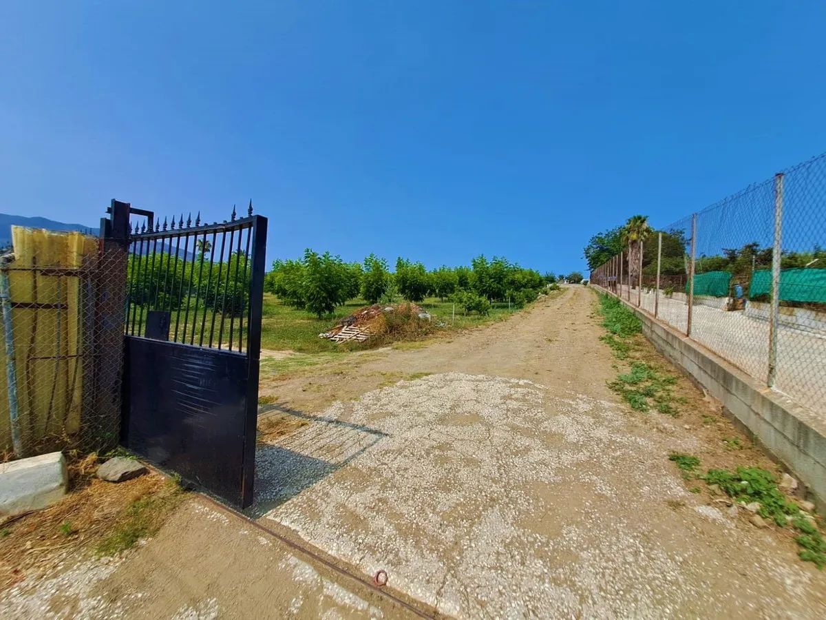 4877a064-1104-4dcd-af3b-3a8496094d64