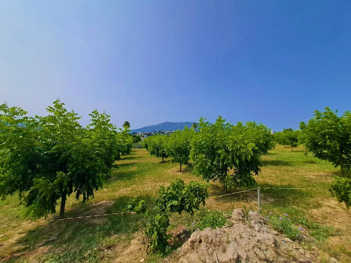 9b219111-5bca-490f-ad6c-d03ace430c19