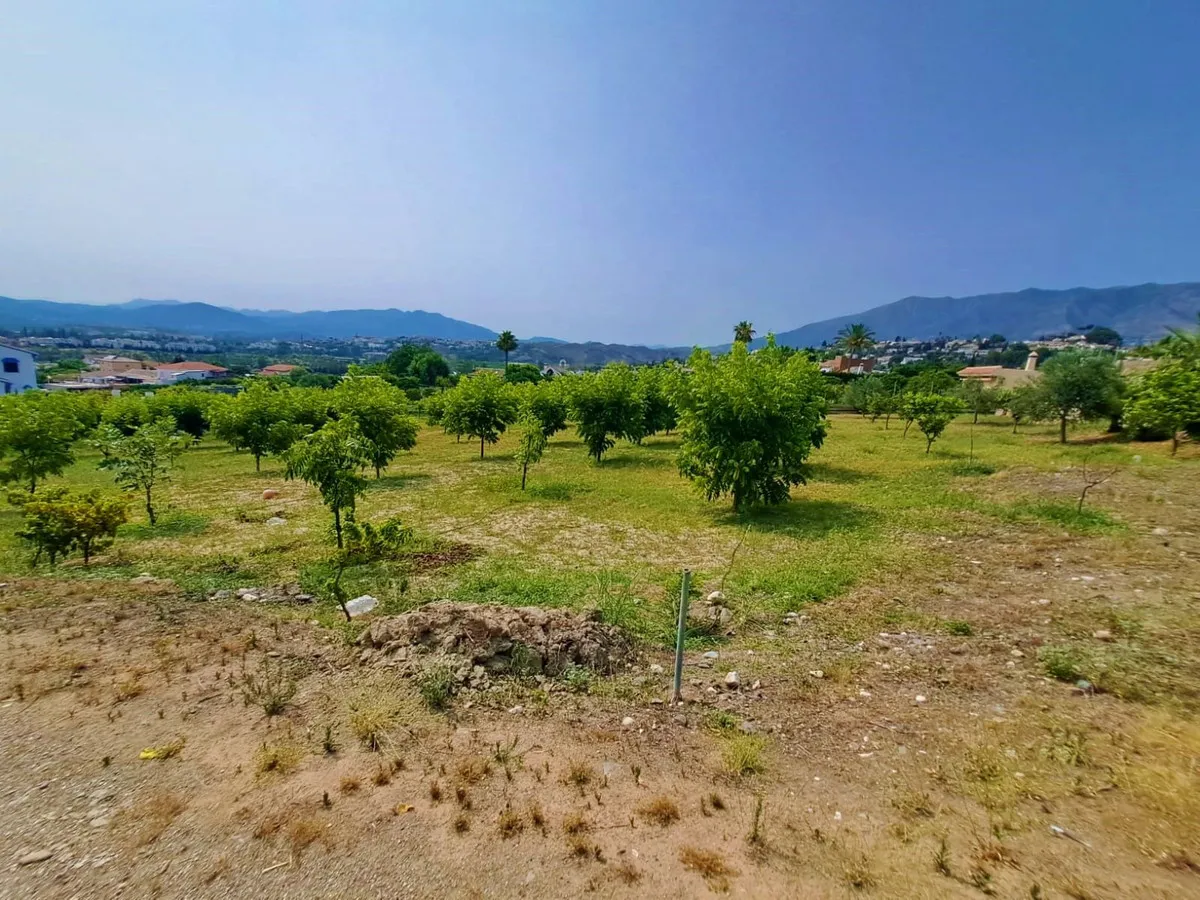 bf787d9c-22ec-48d5-9196-489d8e8a908b