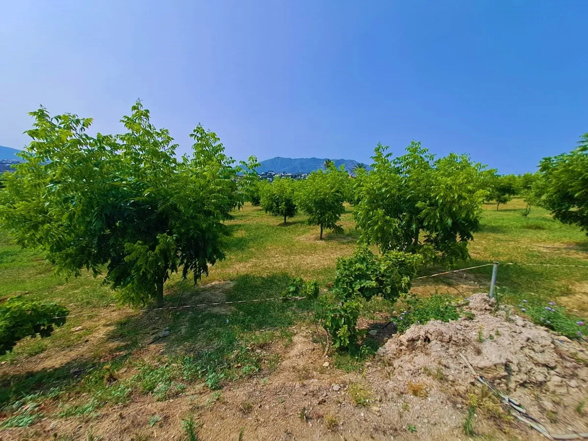 e9a4516b-9527-498c-b15e-da2cbc3363b8