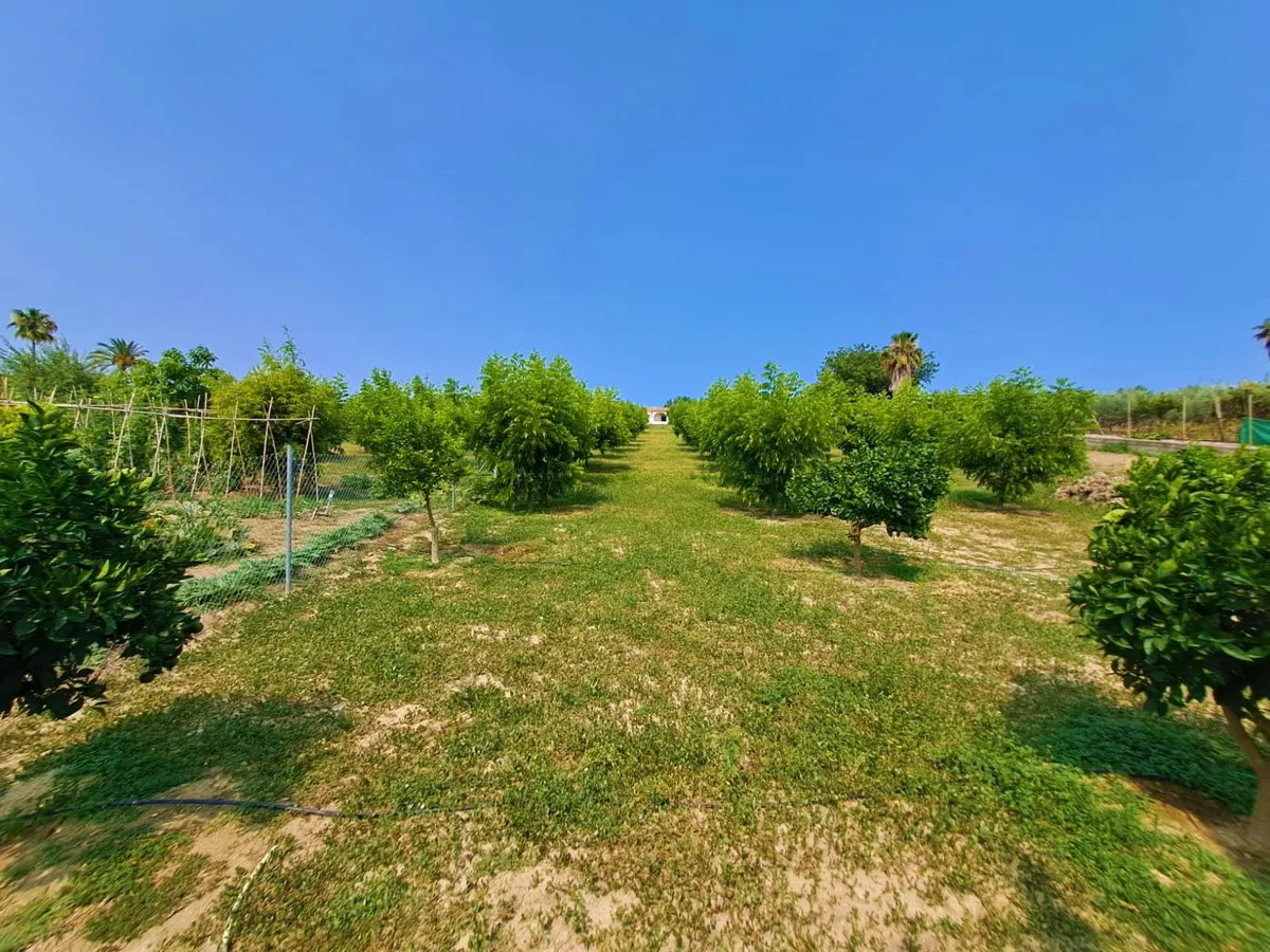 fb853578-0f44-436a-90c0-8c3725fac26a