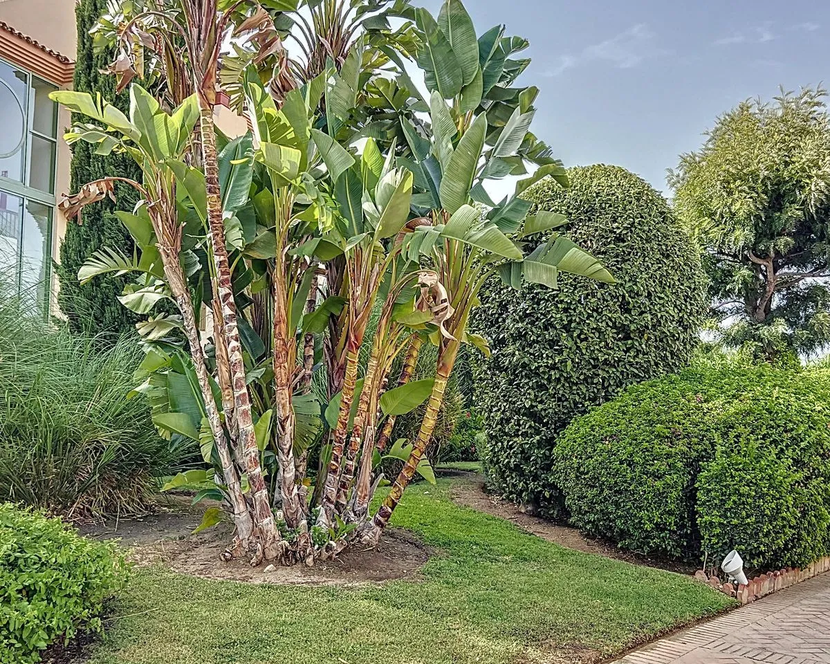 40928e1f-1ff0-4c87-a0e9-cccfe7f67afe