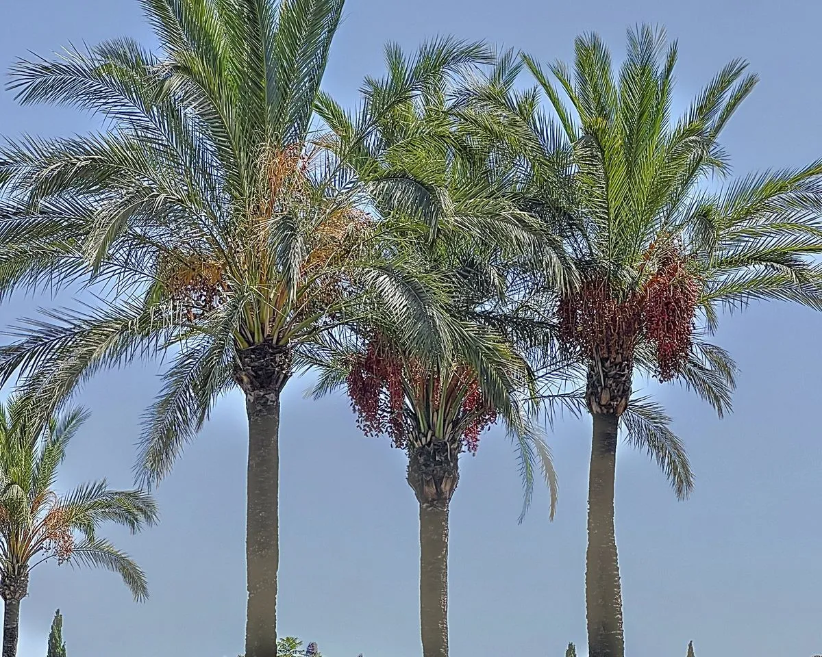 cd30a607-5e6f-4506-a036-ba3708c46d29