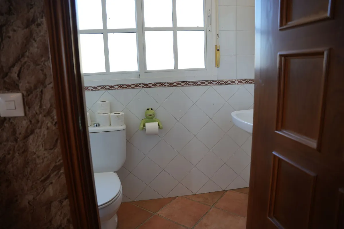 155ec82d-699b-4263-bb86-924f53bc7ba5