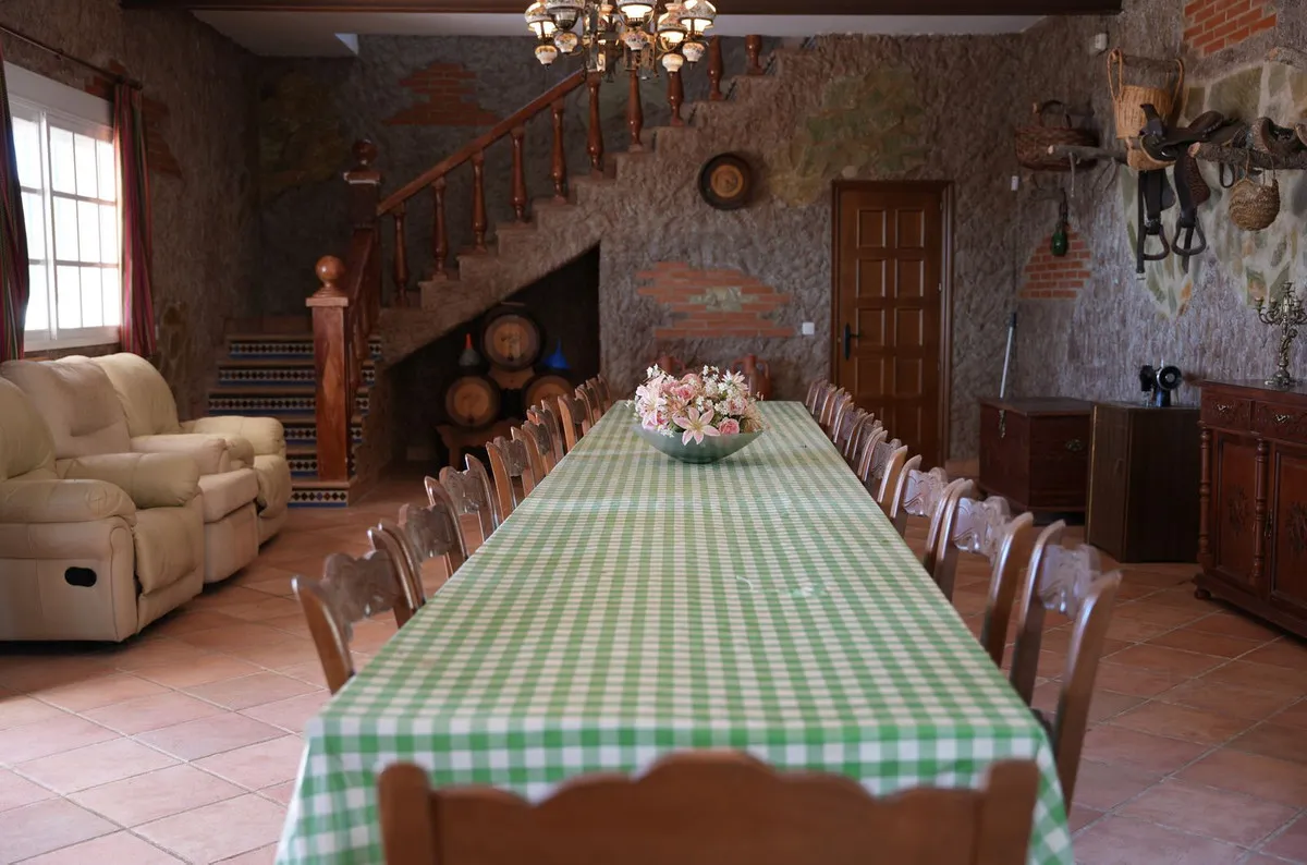 3937f490-2cb4-44cd-a392-f1cbfae3dab7