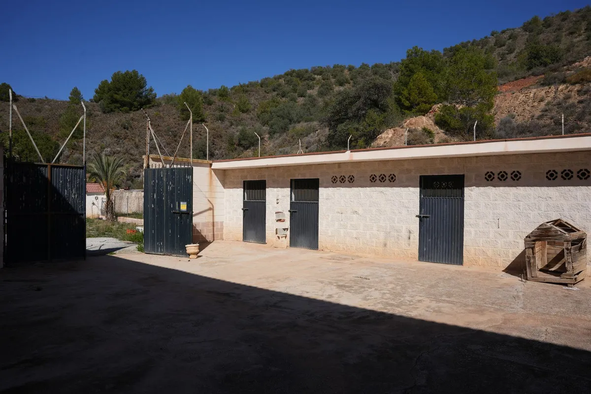 79e0aef1-8356-4d23-9333-2e4b31b1e4a2