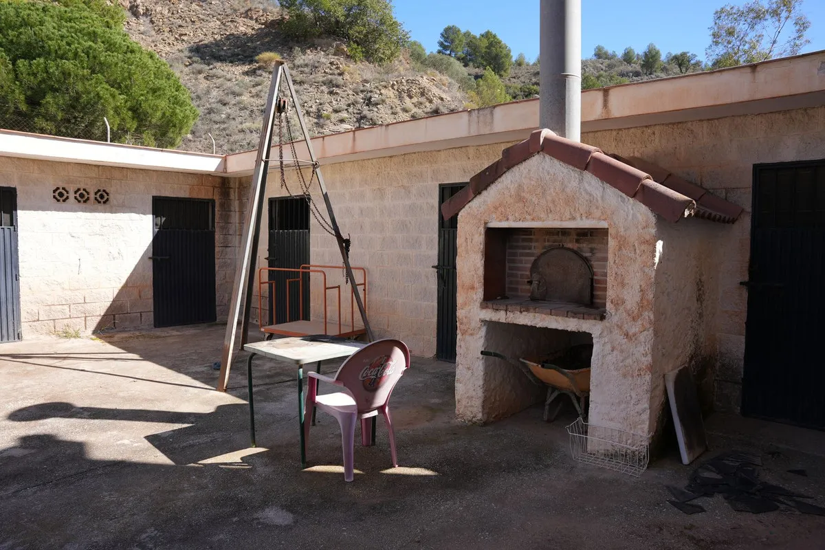 bd88956a-7439-411c-8ac9-8a6fb42a2e91