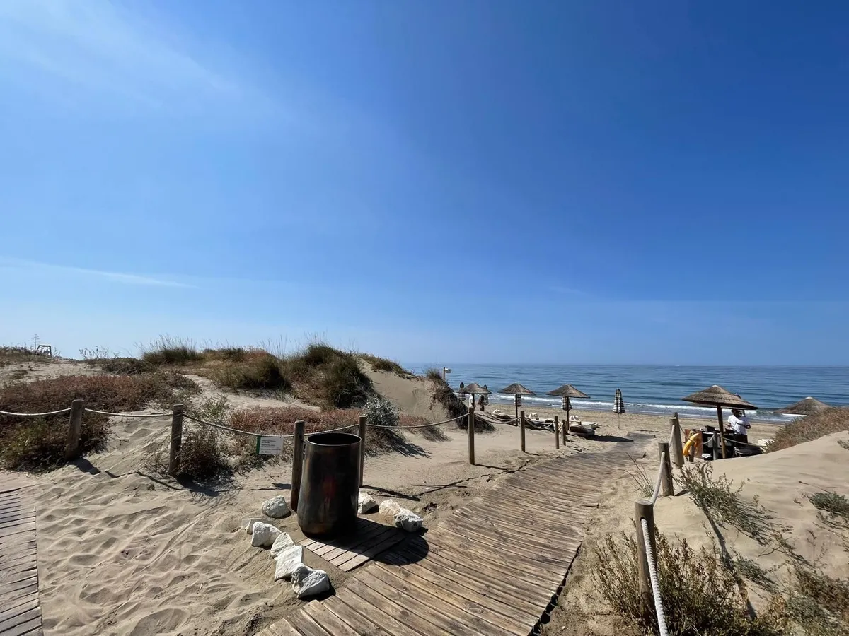 1d86823c-85ff-4463-8f5d-53bc79c24d6d