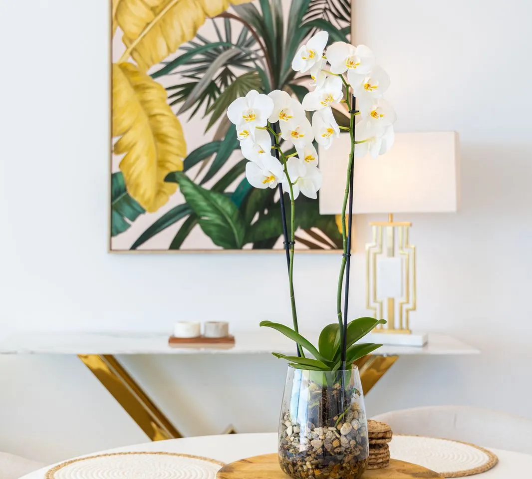 5430c6d6-cd04-4c91-8764-14375c21c84d