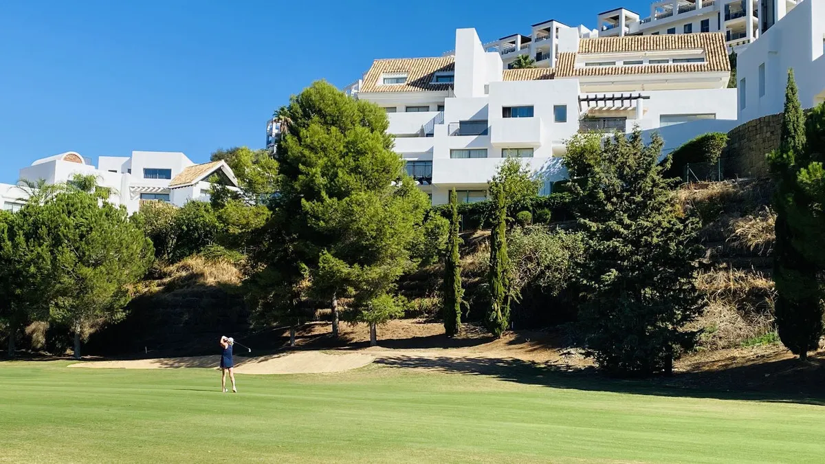 59115d6d-c0a3-488b-8db9-4f06ee95e4c6