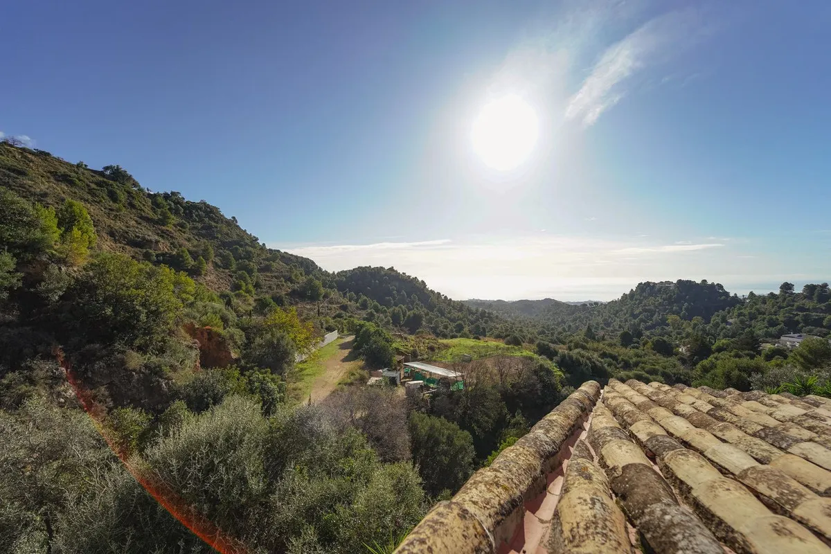 8e990341-056b-4f03-a189-9e71592d6e13