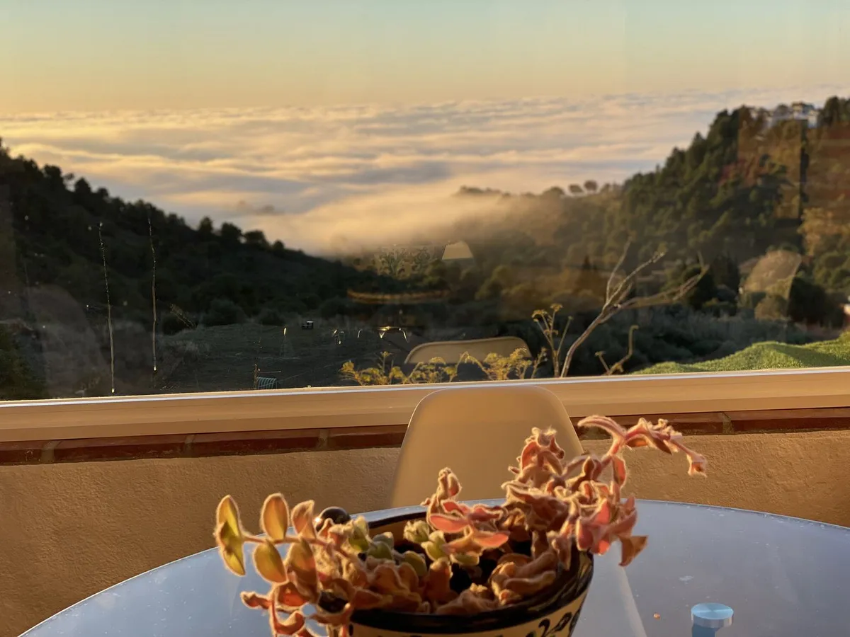 ba94ffbb-6812-4fbc-b659-eabc6c396543