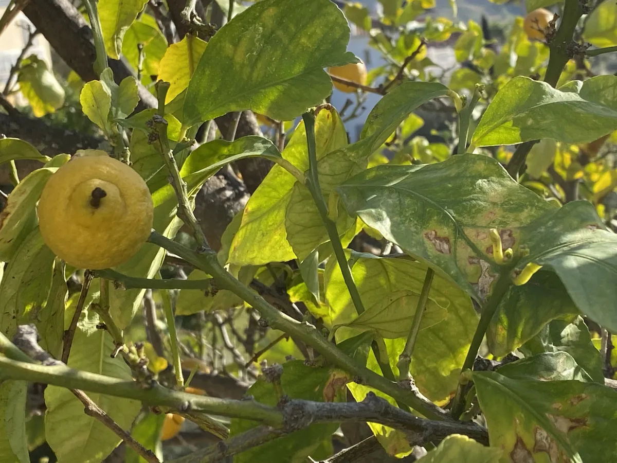 4d37cd5f-a688-4d96-9d10-a8dac4738fa3