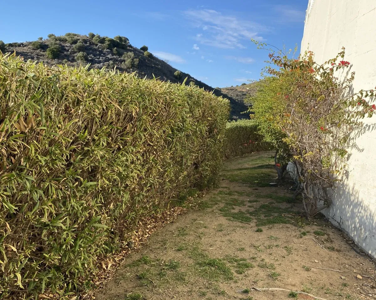 bba8b019-d7c1-4d31-9eb3-9e48727ca4b9