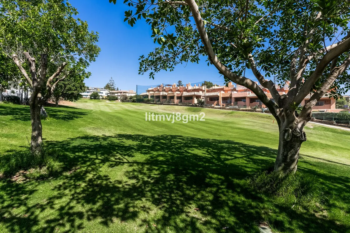 4888d013-d81b-4791-a6b9-793b16d53cd5