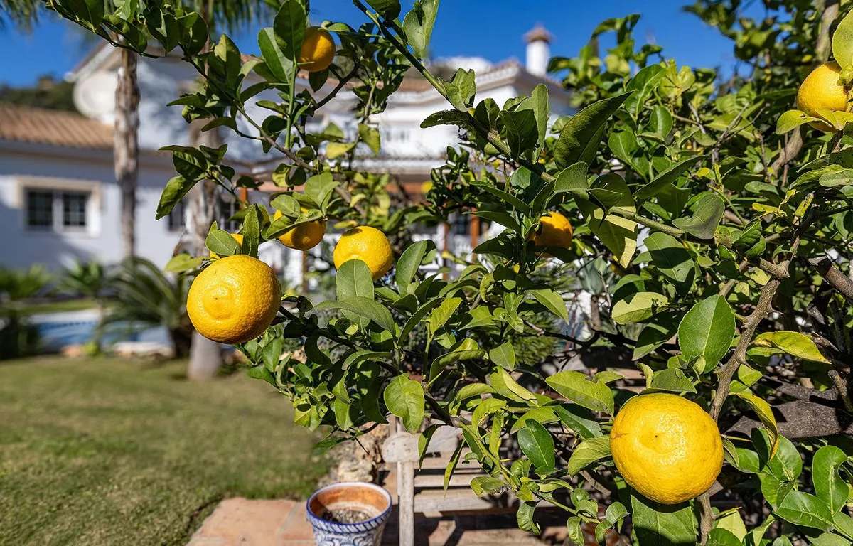 040591a5-8ba8-4f3d-b159-4018d473ce0a