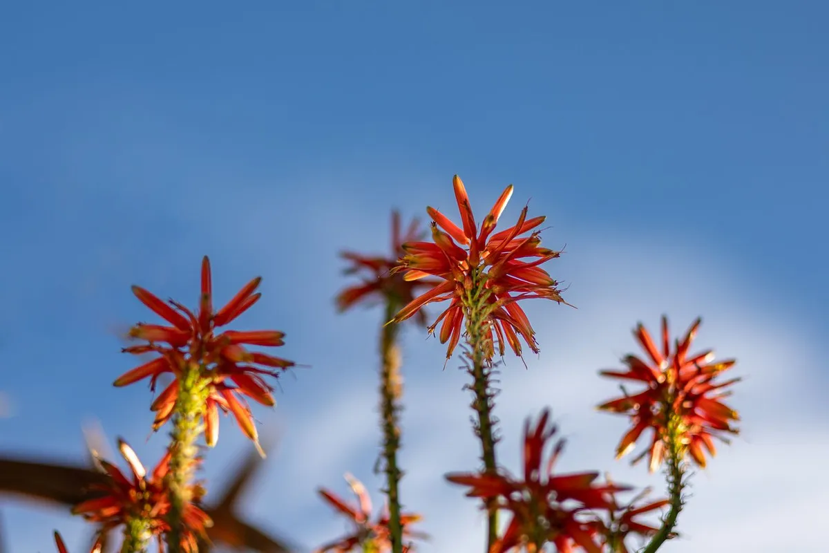 cc37faae-62fc-40e7-8076-a2dd737d8e48