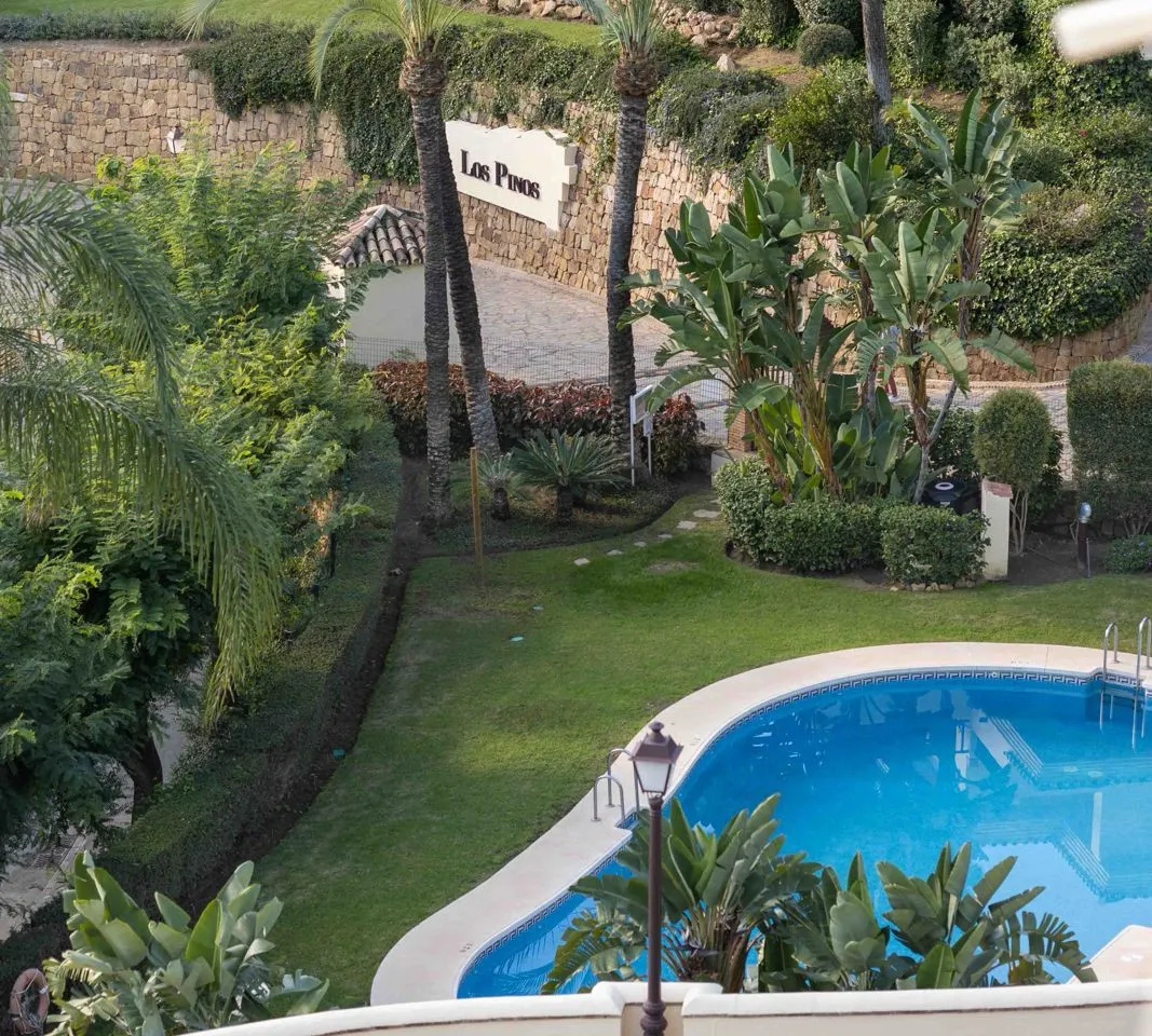 d577fea4-8c40-4cc4-959a-6b451f89c917