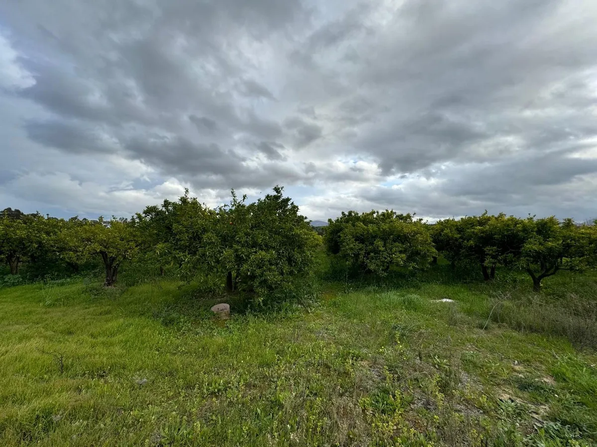 512756d2-a14b-44c9-8c2b-a3d63ad36c49