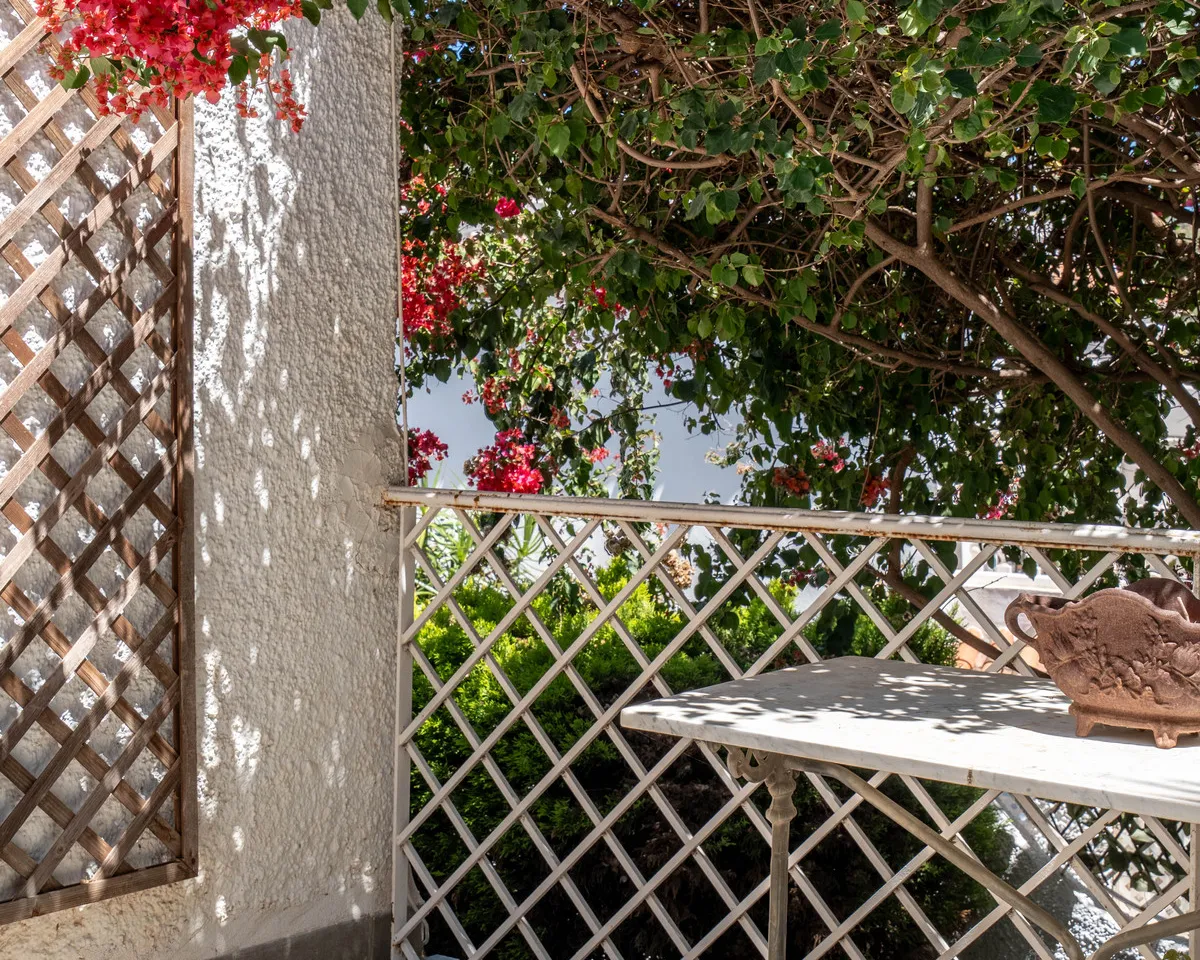 d5d02709-da4f-4cf6-98c9-0f7cb1097694