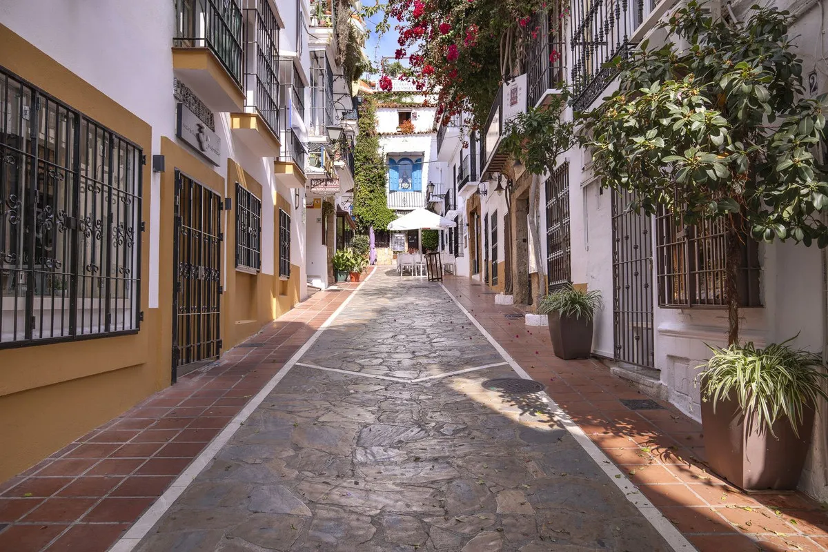 c5a81835-4d8a-4412-8ce0-c2a8846e631b