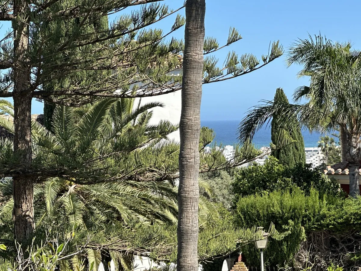 8d5c68b1-036f-4856-b820-000c9895eadd