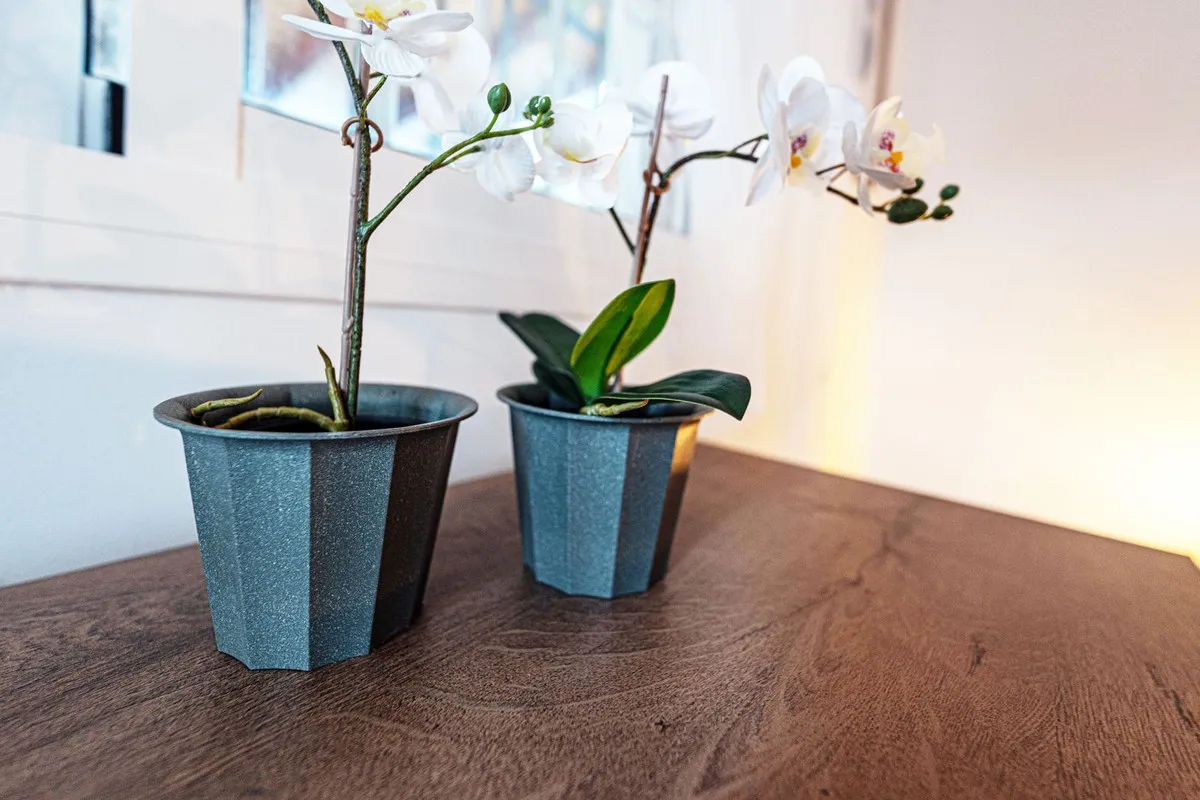 74299d33-d80f-4a1b-805e-756b0e8bf081