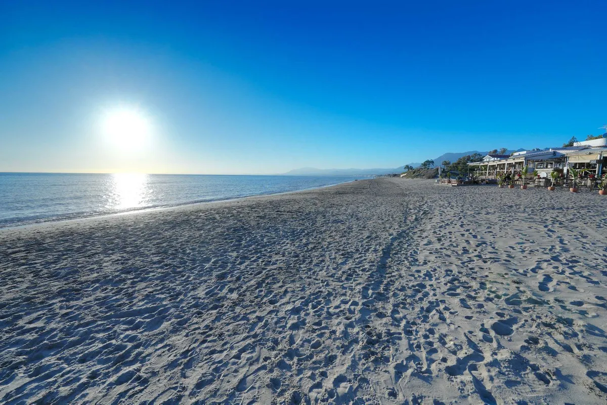 8dc65670-b564-4706-a626-a3e9e3a8d4de