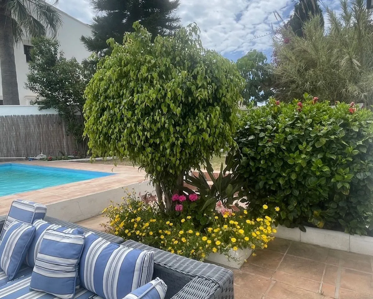 1200e712-be54-460d-8b66-89f631330e06