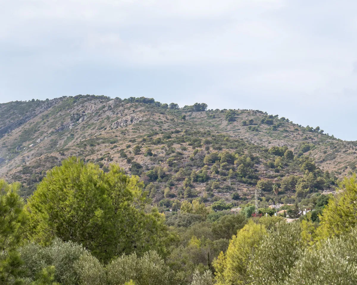 31b4e7c2-0f3b-431f-a85c-50a8cba11207