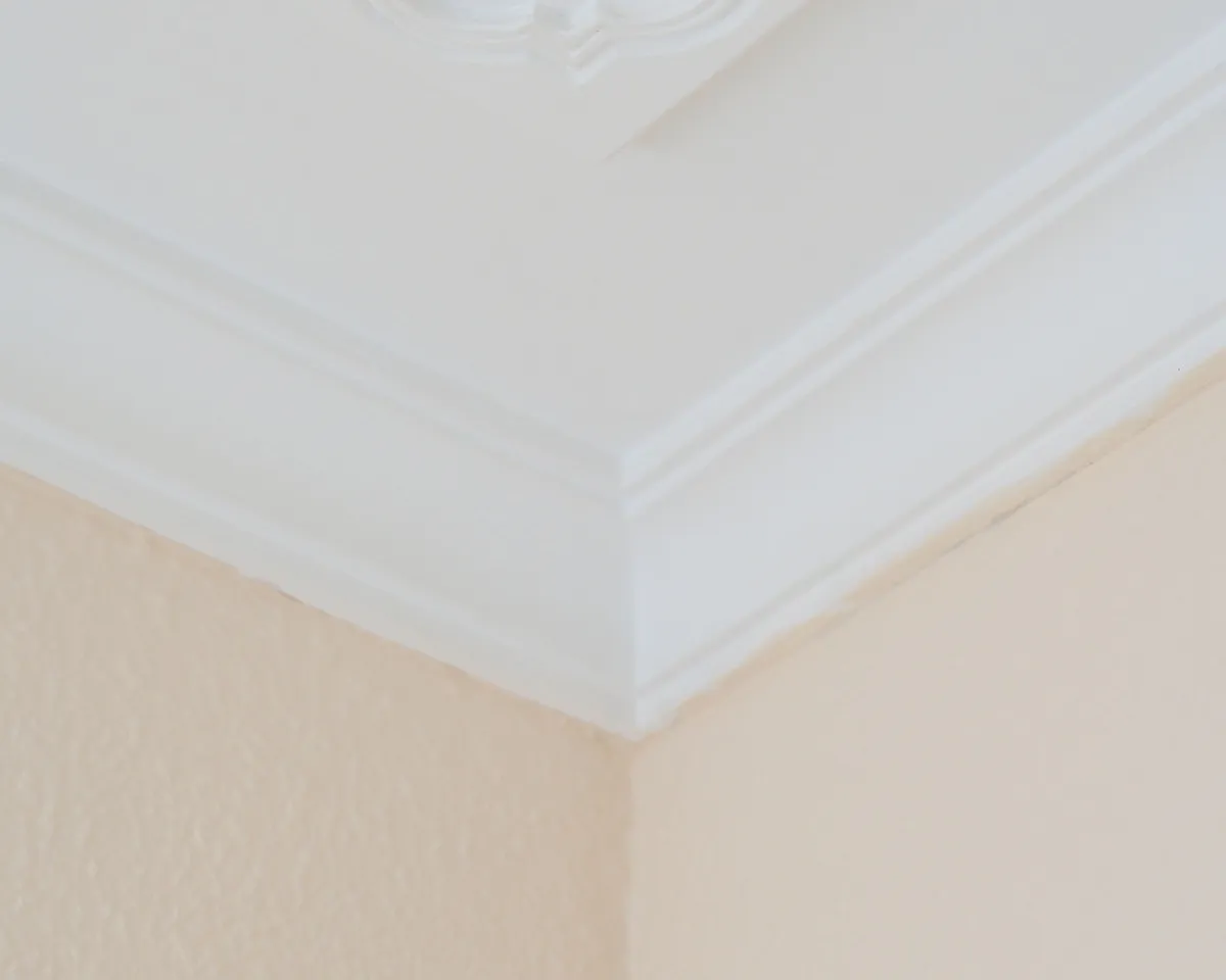 d47940a1-b2fc-4e97-9d21-8aba08f86ab2