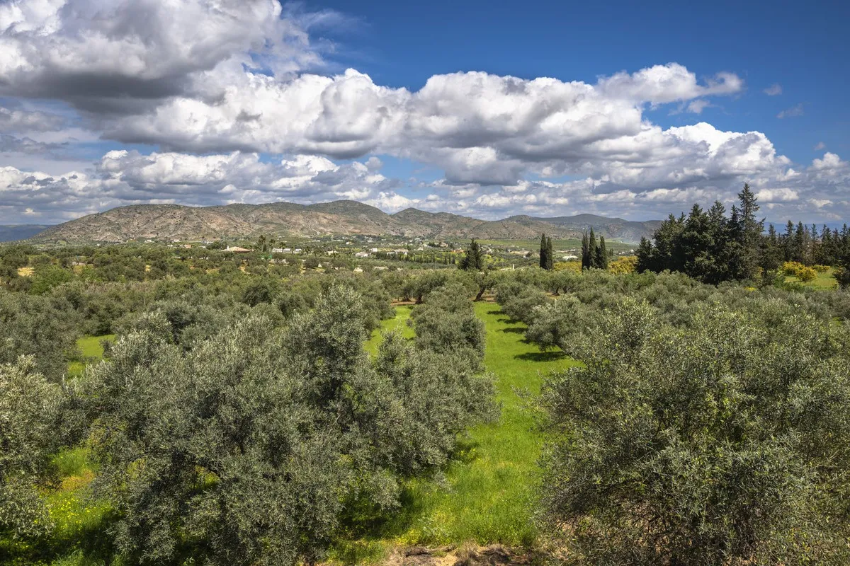 13a50946-ed66-41f3-b09c-05c727ee4084