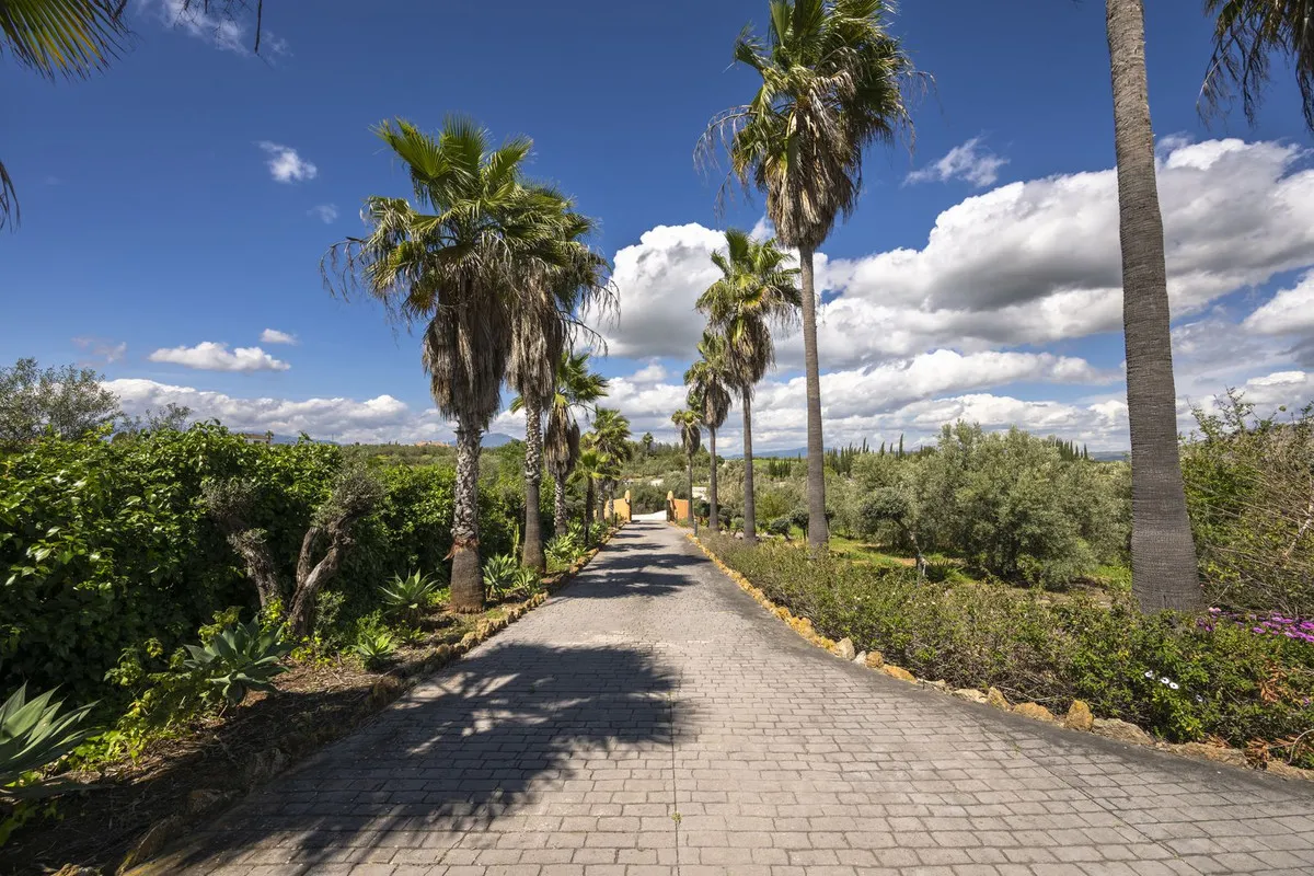 972efbb2-bafe-4a31-b715-91495d64203b